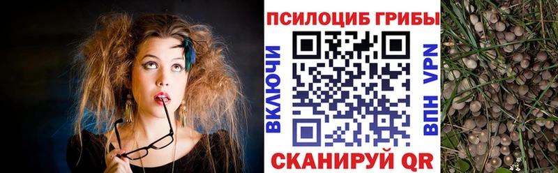 darknet как зайти  магазин продажи наркотиков  Тырныауз  Галлюциногенные грибы прущие грибы 